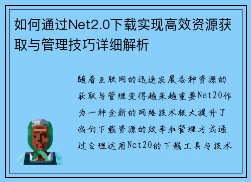 如何通过Net2.0下载实现高效资源获取与管理技巧详细解析